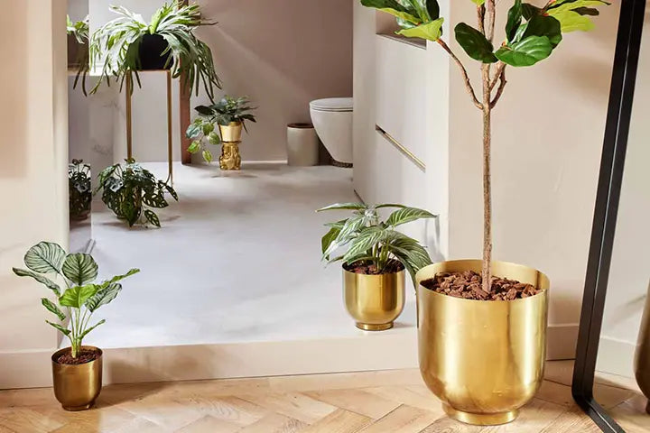Vasi fai da te: 30 idee | Guida Giardino Vasi fai da te: 30 idee | Guida Giardino