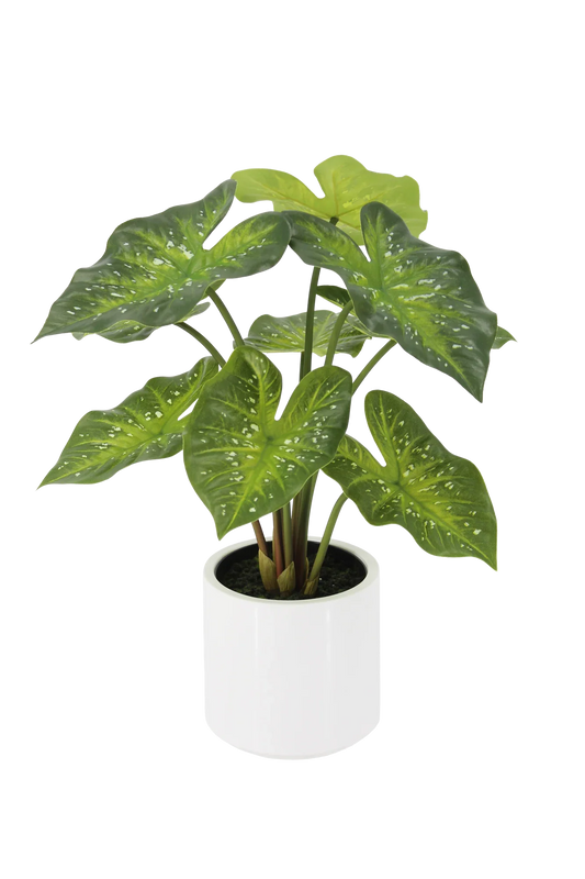 Künstliche Caladium - Tiara | 60 cm
