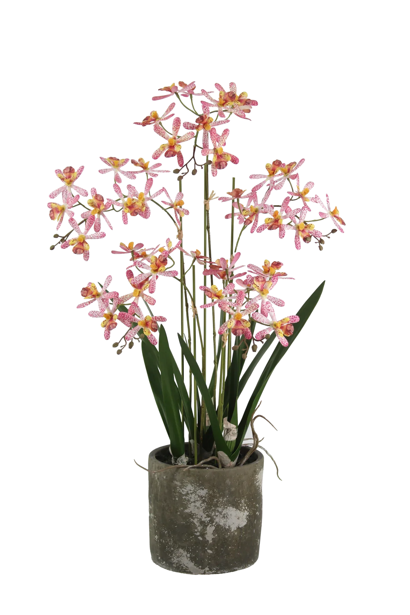 künstliche pflanzen orchideen Künstliche Orchidee - Han