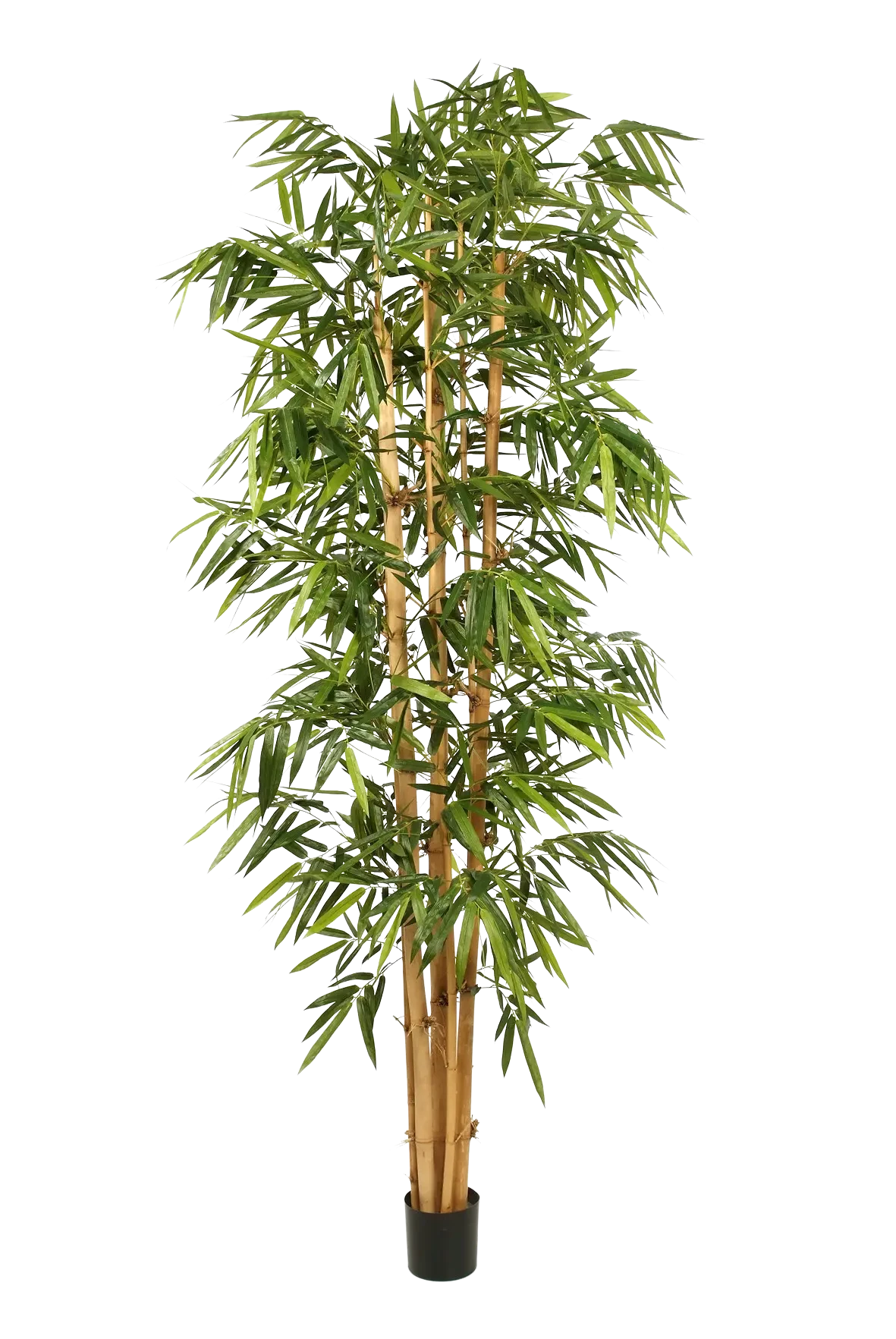 Künstlicher Bambus – Kenai | 150 cm