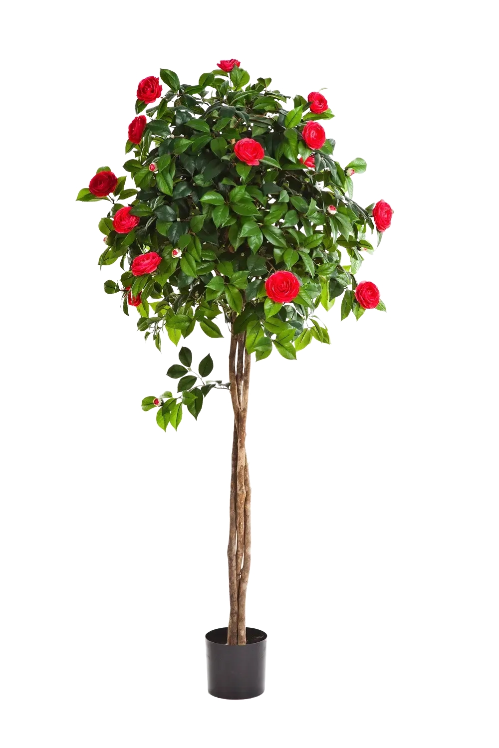 Albero di camelia artificiale da 95cm, Pianta artificiale con fiori