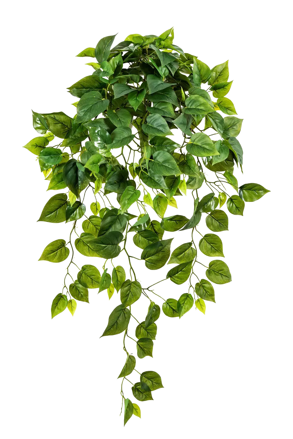 Monstera artificiale pendente - Barbara | 85 cm