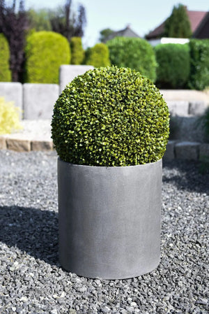 Blumentopf - Trevi, 43x43cm, Pflanzkübel von aplanta, in Grau