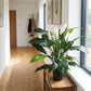 Spathiphyllum artificiale - Big-Luna | 73 cm