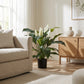 Spathiphyllum artificiale - Big-Luna | 73 cm