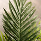 Künstliche Goldfruchtpalme - Connor, 90 cm, Kunstbaum von aplanta, im schwarzen Topf, in Natur, für drinnen