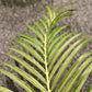Künstliche Goldfruchtpalme - Eva, 170 cm, Kunstbaum von aplanta, im schwarzen Topf, in Natur, für drinnen