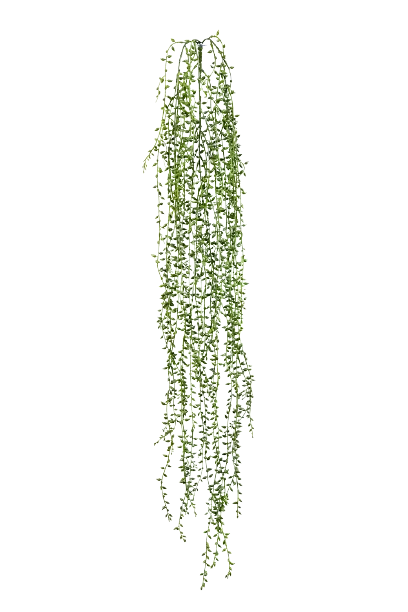 Künstliche Erbsenpflanze - Eric, 85 cm, Kunstpflanze von aplanta, Steckpflanze, in Natur, für drinnen