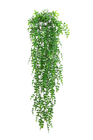 Künstlicher Mäusedorn - Dima | 95 cm