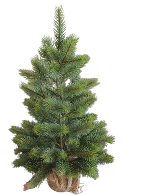 Künstlicher Weihnachtsbaum - Robin | 48 cm