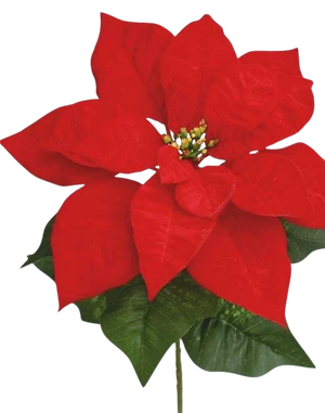 Künstliche Poinsettia - Basir | 50 cm