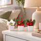 Künstliches Weihnachts-Arrangement - Brisu | 3 Stück | in weißer Schale