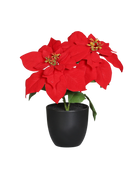 Stella di Natale artificiale - Cady | 37 cm, in vaso