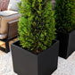Pflanztopf Arven schwarz | 50x50