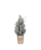 Künstlicher Tannenbaum - Rachel auf transparentem Hintergrund mit echt wirkenden Kunstblättern in natürlicher Anordnung. Künstlicher Tannenbaum - Rachel hat die Farbe Natur und ist 30 cm hoch. | aplanta Kunstpflanzen