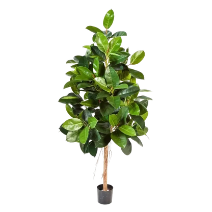 Künstlicher Gummibaum - Karim, 140 cm, Kunstbaum von aplanta, mit Echtholzstamm, im schwarzen Topf, in Natur, für drinnen