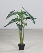 Künstliche Alocasia - Marco | 100 cm