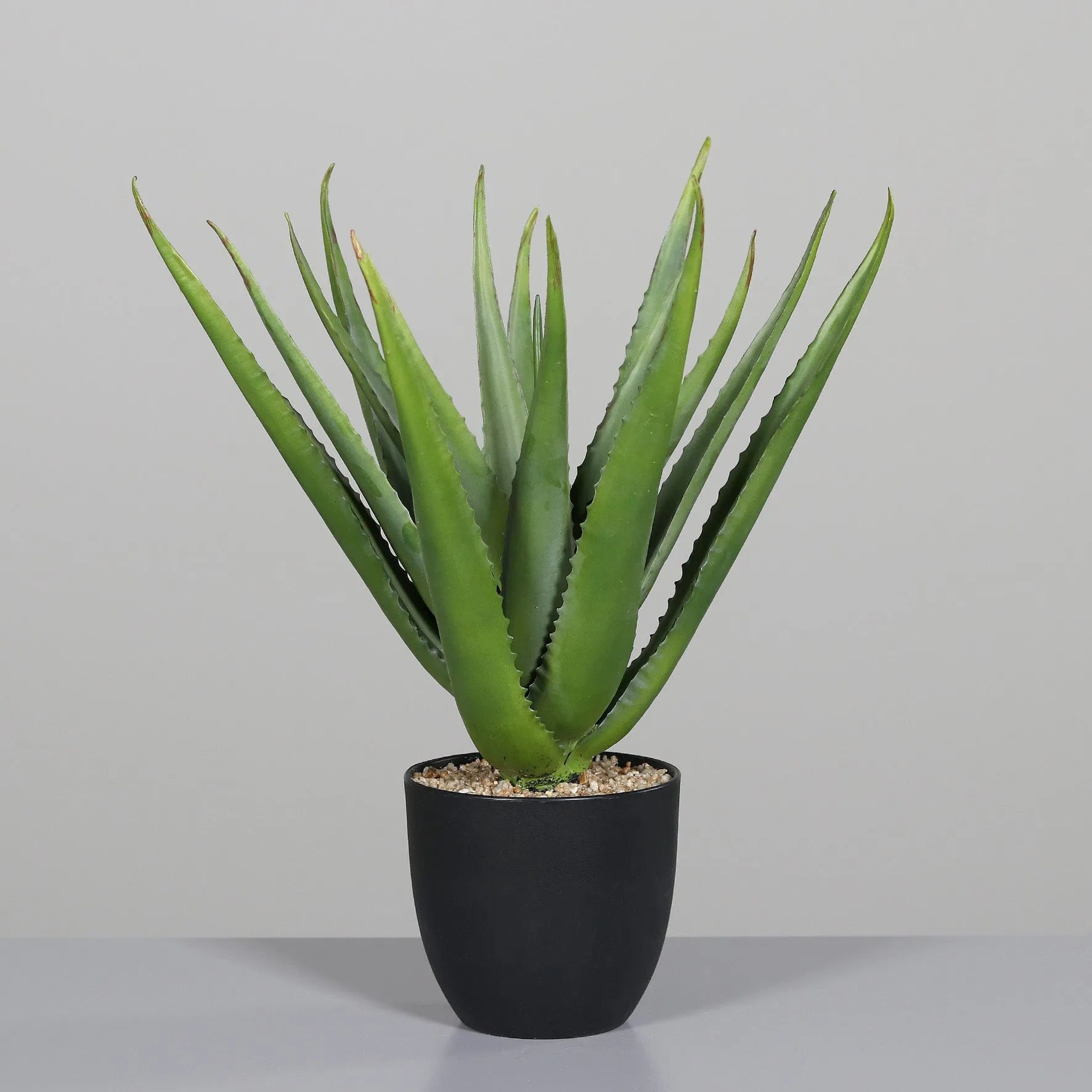 Künstliche Aloe Vera - Chester | 50 cm