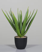 Künstliche Aloe Vera - Chester | 50 cm