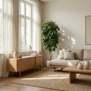 Schefflera artificiale - Ove | 172 cm