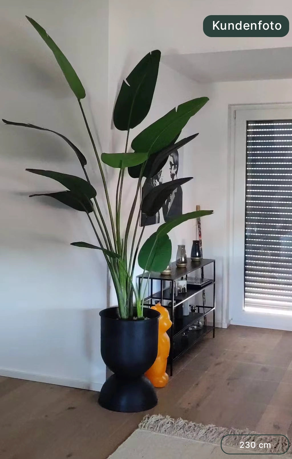 Strelitzia artificiale - Josephine | 230 cm