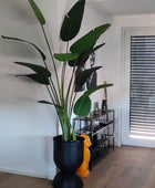 Strelitzia artificiale - Josephine | 230 cm