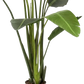 Künstliche Strelitzia - Josephine, 230 cm, Kunstbaum von aplanta, in Natur, für drinnen