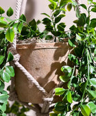 Künstlicher Hänge Kletterficus - Kjell | 80 cm | Kunstbaum von aplanta