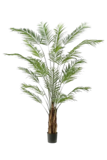 Künstliche Areca Palme - Isaiah, 240 cm, Kunstbaum von aplanta, im schwarzen Topf, in Natur, für drinnen