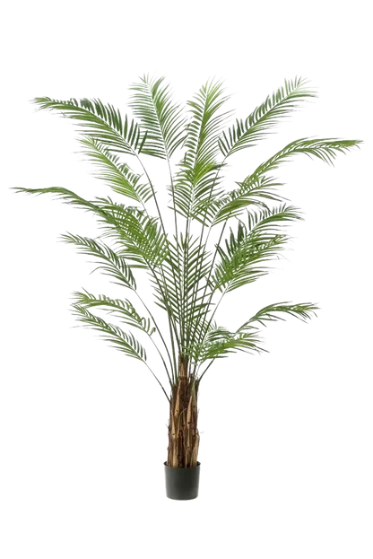 Künstliche Areca Palme - Isaiah, 240 cm, Kunstbaum von aplanta, im schwarzen Topf, in Natur, für drinnen