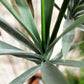 Künstliche Yucca - Talandra, 150 cm, Kunstbaum von aplanta, in Grün, für drinnen