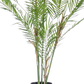 Künstliche Bergpalme - Nadine, 120 cm, Kunstbaum von aplanta, im schwarzen Topf, in Natur, für drinnen