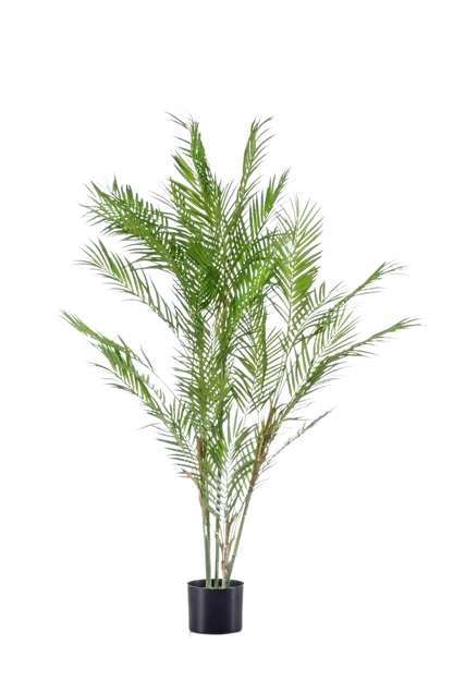 Künstliche Bergpalme - Nadine, 120 cm, Kunstbaum von aplanta, im schwarzen Topf, in Natur, für drinnen