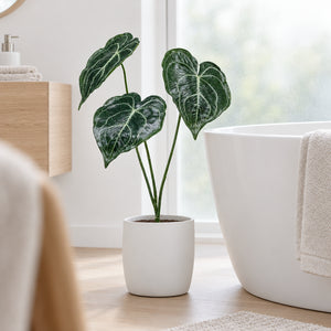 Anthurium artificiale, pianta a spina, 62 cm