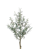 Künstlicher Olivenbaum - Ceylin auf transparentem Hintergrund mit echt wirkenden Kunstblättern. Diese Kunstpflanze gehört zur Gattung/Familie der "Olivenbäume" bzw. "Kunst-Olivenbäume".
