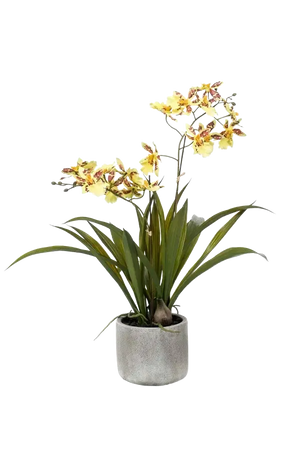 Künstliches Oncidium - Lilli auf transparentem Hintergrund mit echt wirkenden Kunstblättern. Diese Kunstpflanze gehört zur Gattung/Familie der "Orchideen" bzw. "Kunst-Orchideen".