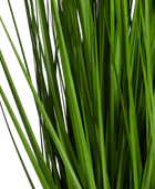 Kunstpflanze Chiara in Dekotopf