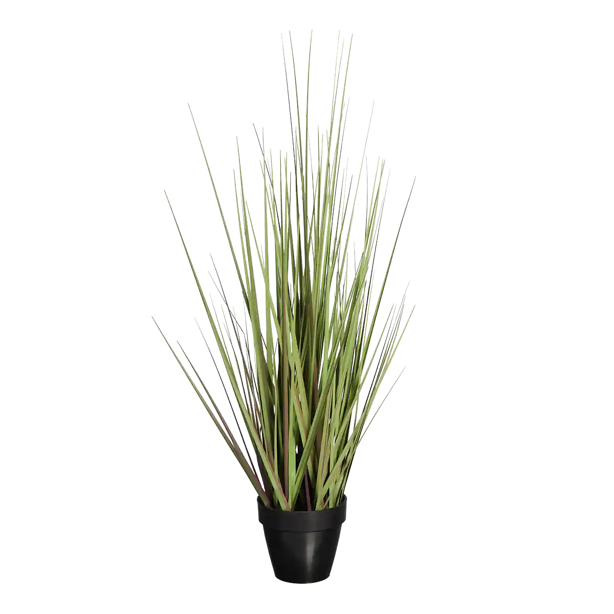Künstliches Gras - Chiara | 60 cm