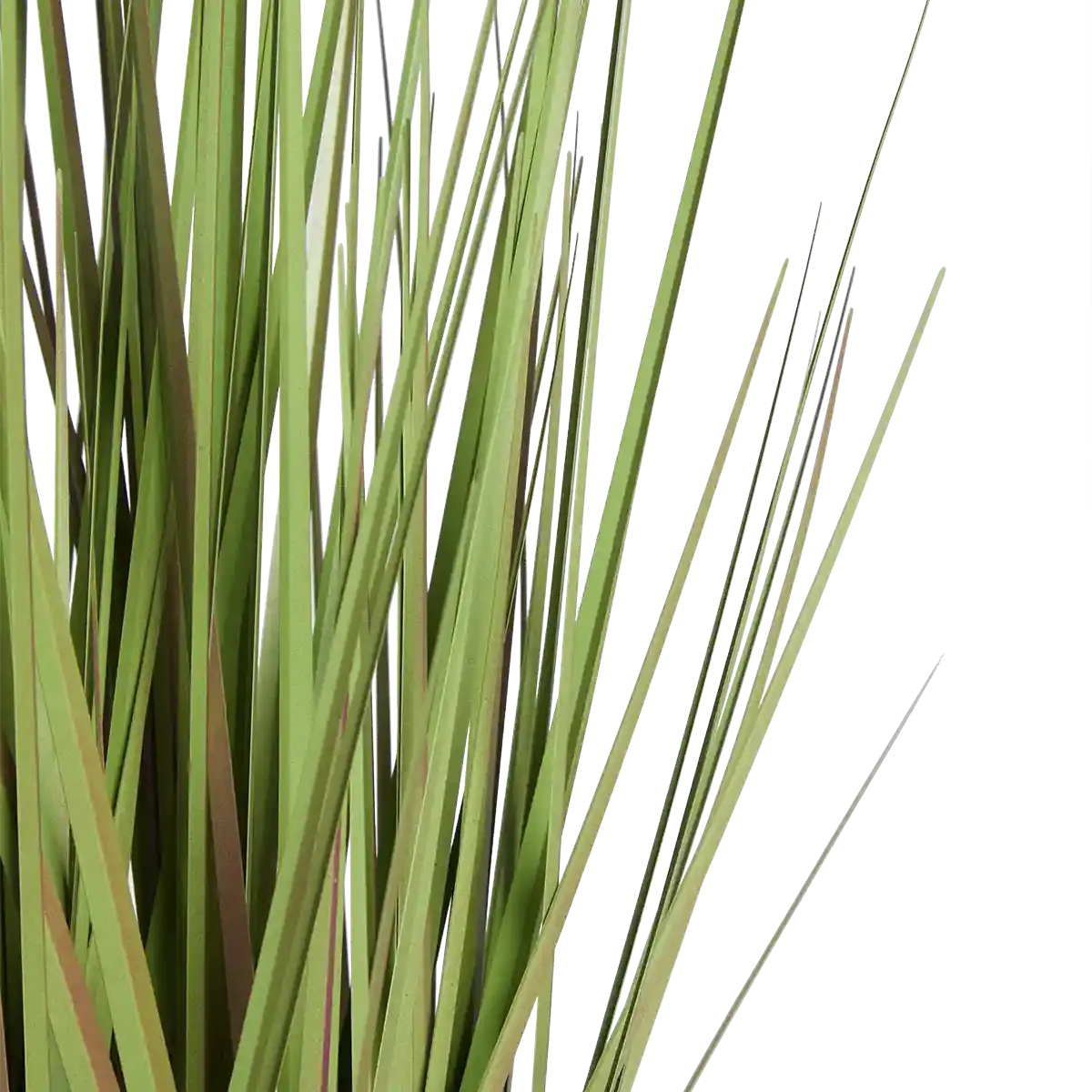 Künstliches Gras - Chiara | 60 cm