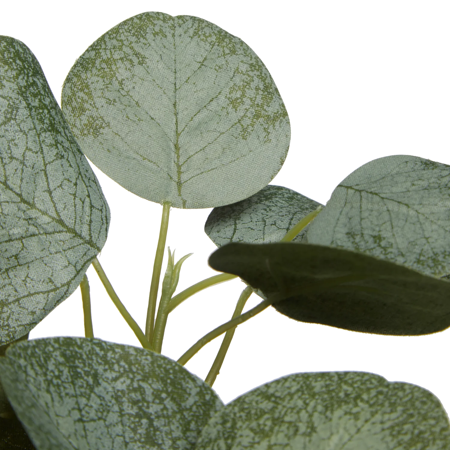 Künstlicher Eucalyptus - Tanja | 26 cm