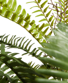 Künstlicher Schwertfarn - Sen | 69 cm