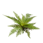Künstlicher Frauenfarn - Jupi | 47 cm