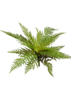 Künstlicher Frauenfarn - Jupi | 47 cm