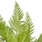 Künstlicher Frauenfarn - Jupi | 47 cm