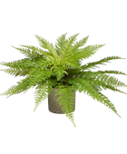 Künstlicher Frauenfarn - Talos | 55 cm