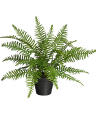 Künstlicher Schwertfarn - Grimm | 46 cm
