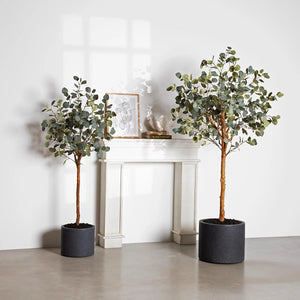 Künstlicher Eucalyptus Baum - Parla | 180 cm