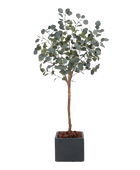 Künstlicher Eucalyptus Baum - Parla | 150 cm