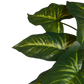 Künstliche Dieffenbachia - Justus, 45 cm, Kunstpflanze von aplanta, inkl. Dekotopf, in Grün, für drinnen