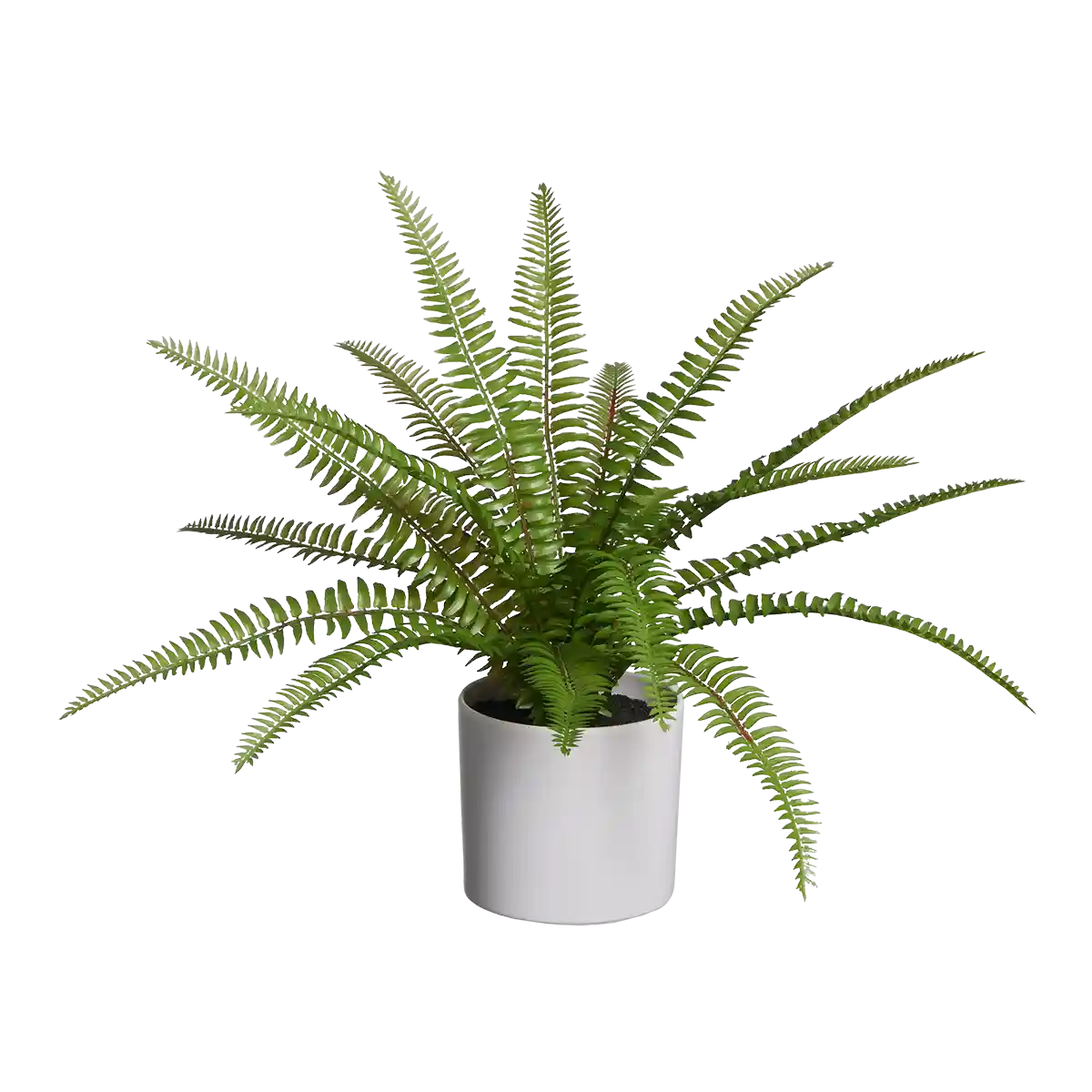 Künstlicher Farn - Isa | 35 cm